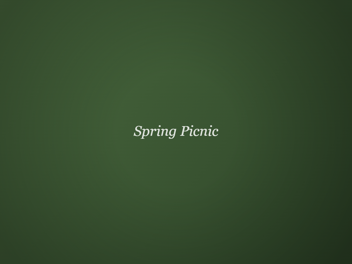 Founders Park Picnic